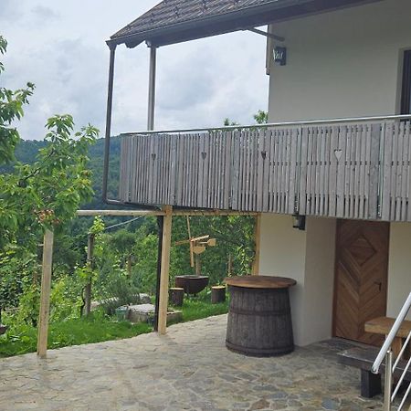 Zidanica Muhic Villa Dolenjske Toplice Buitenkant foto