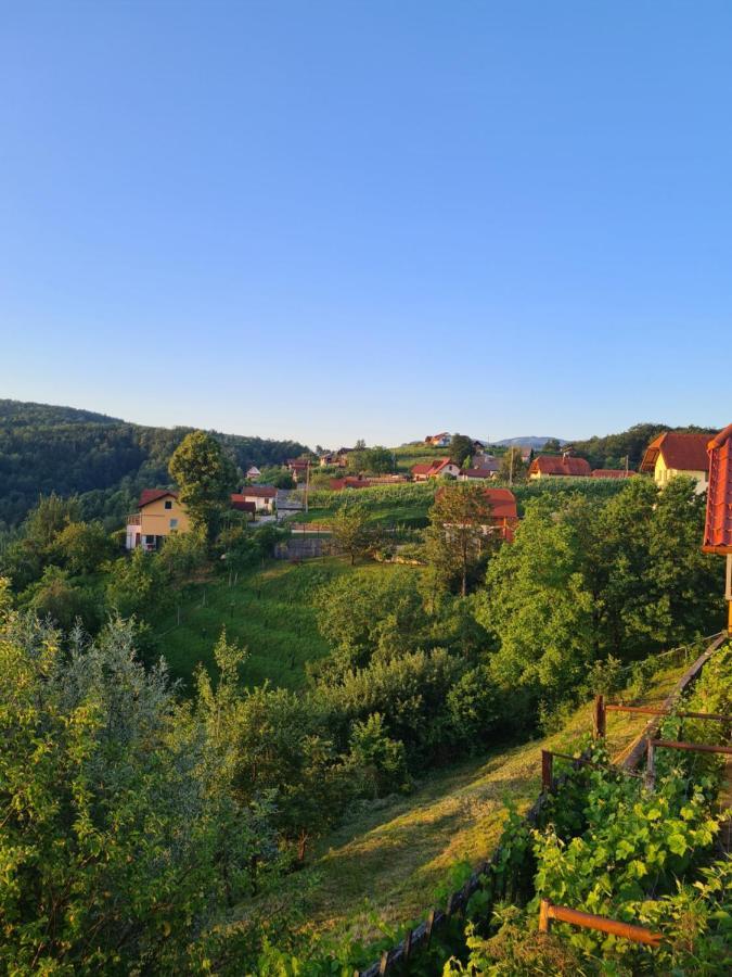 Zidanica Muhic Villa Dolenjske Toplice Buitenkant foto